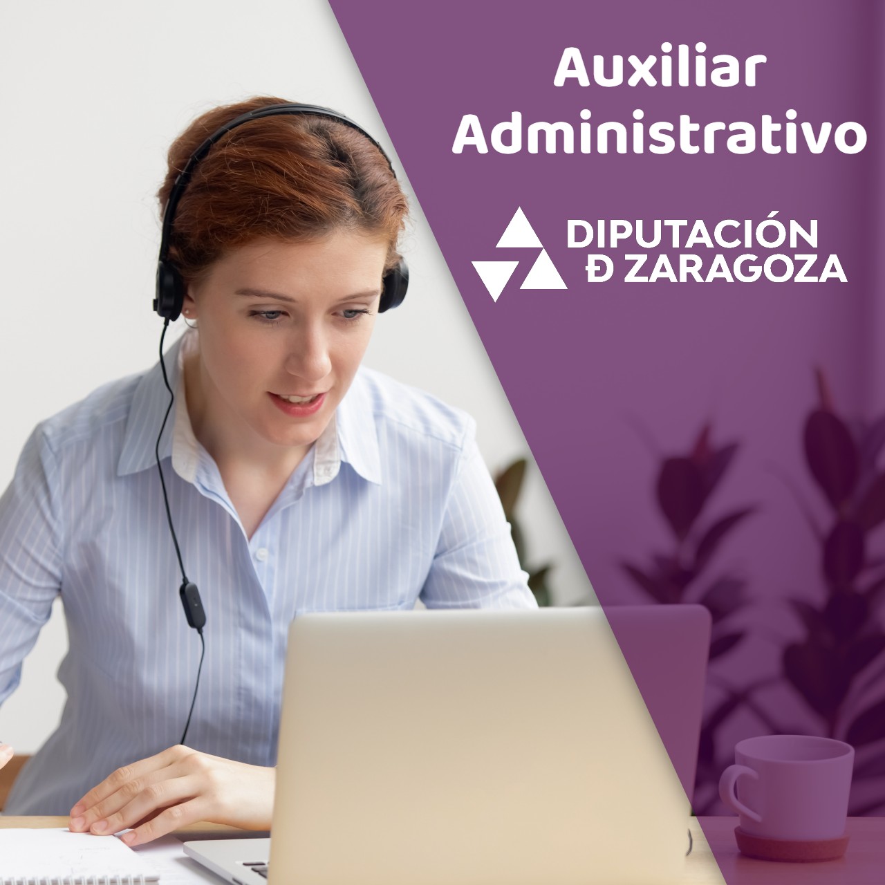 Auxiliar Administrativo DPZ dpz auxiliar administrativo